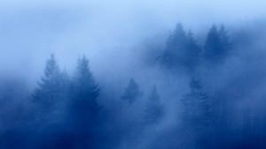 roche d'oetre suisse normande - nicolas rottiers photographe paysage caen