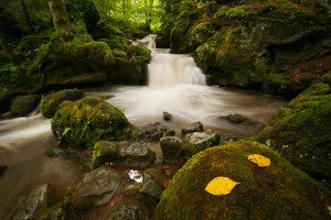 nicolas rottiers photographe paysage caen normandie