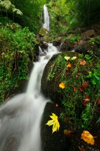 nicolas rottiers photographe paysage caen normandie