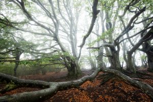 Auvergne - Nicolas Rottiers Photographe Caen Normandie