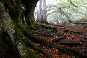 Auvergne - Nicolas Rottiers Photographe Caen Normandie