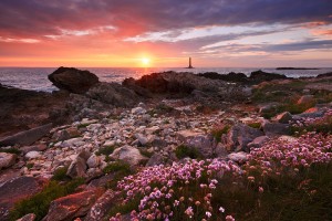 nicolas rottiers photographe paysage