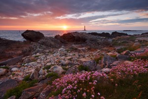 nicolas rottiers photographe paysage