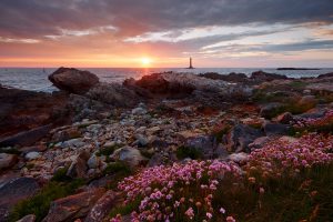 cotentin-manche-hague-normandie-nicolas-rottiers-photographe-paysage-caen