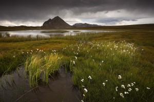 claree - nicolas rottiers photographe paysage caen normandie