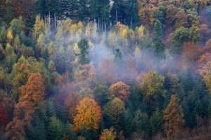 roche d'oetre suisse normande orne normandie - nicolas rottiers photographe paysage