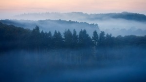 suisse normande normandie - nicolas rottiers photographe paysage