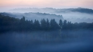 suisse normande - nicolas rottiers photographe paysage caen normandie