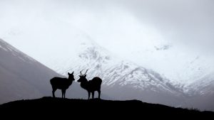 Ecosse - Nicolas Rottiers Photographe paysage Caen Normandie