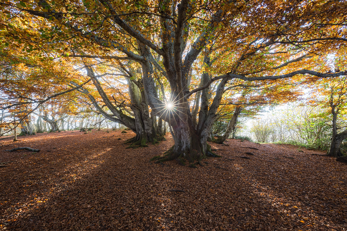 auvergne-puy-de-dome-nicolas-rottiers-photographe-normandie