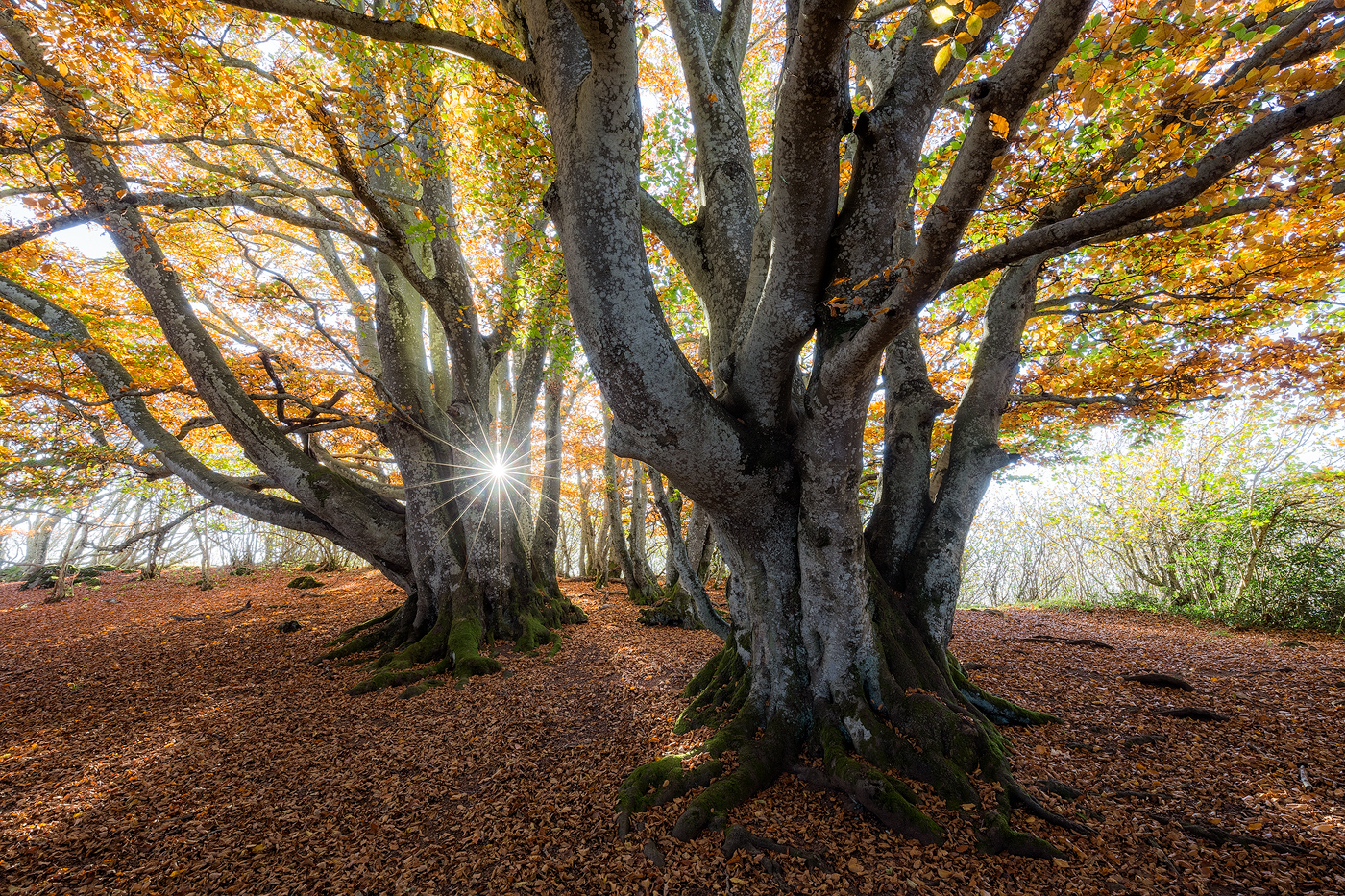 auvergne-puy-de-dome-nicolas-rottiers-photographe-normandie