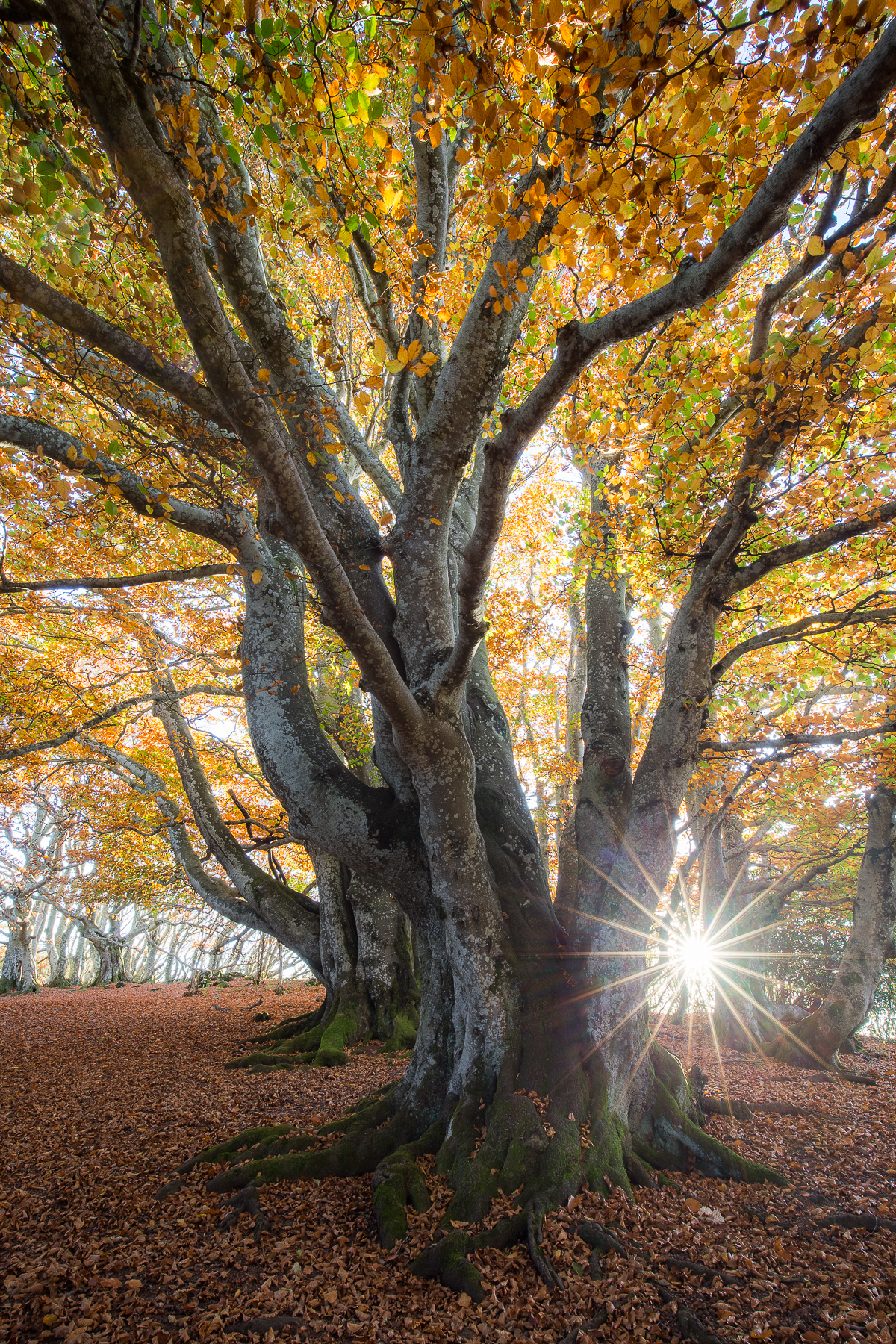 auvergne-puy-de-dome-nicolas-rottiers-photographe-normandie