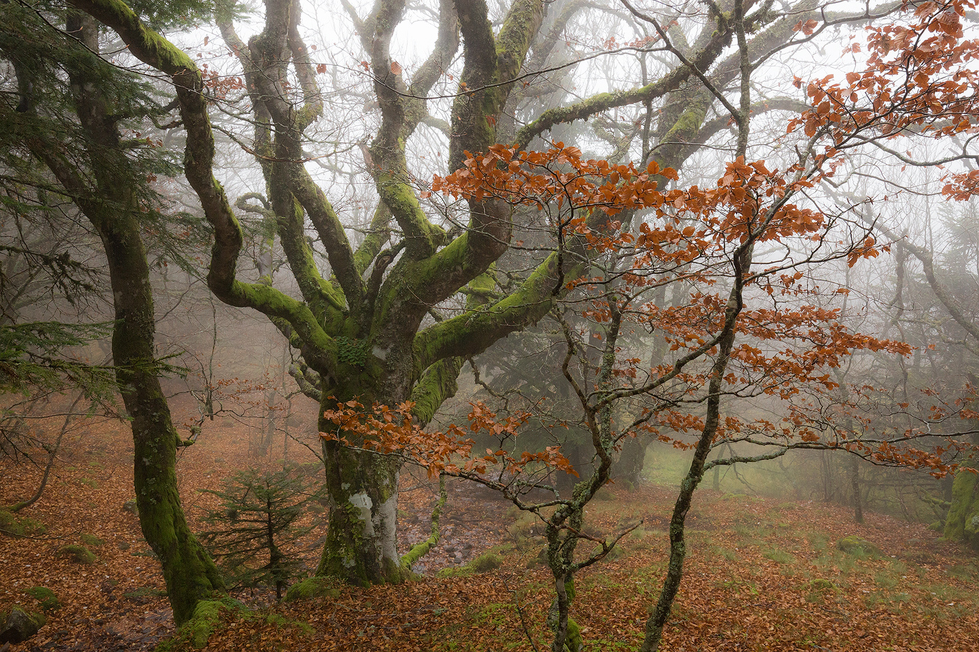 auvergne-puy-de-dome-nicolas-rottiers-photographe-normandie