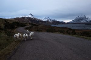 Ecosse - Nicolas Rottiers Photographe paysage Caen Normandie