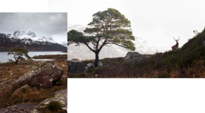 nicolas-rottiers-photographe-paysage-ecosse-2