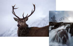 nicolas-rottiers-photographe-paysage-ecosse-3