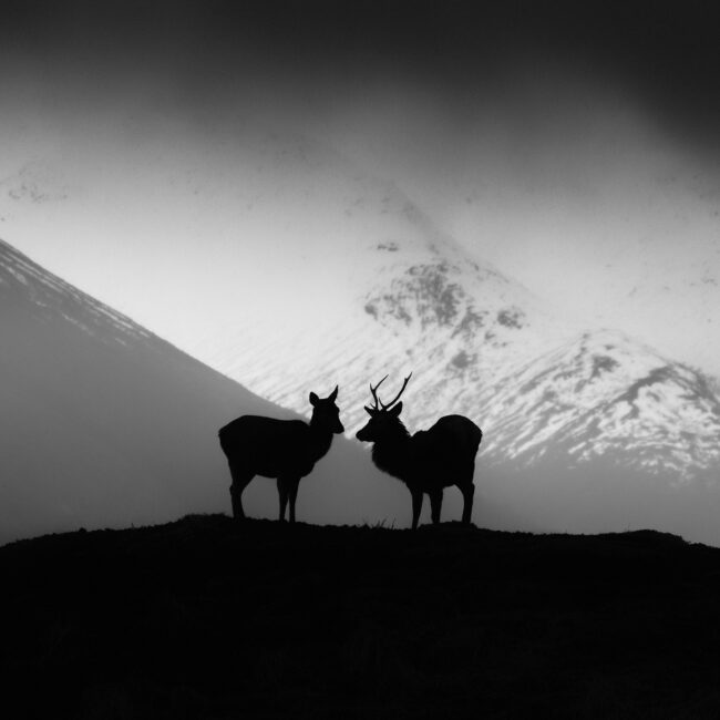 blacklands-ecosse-scotland-nicolas-rottiers-photographe-paysage-caen-normandie