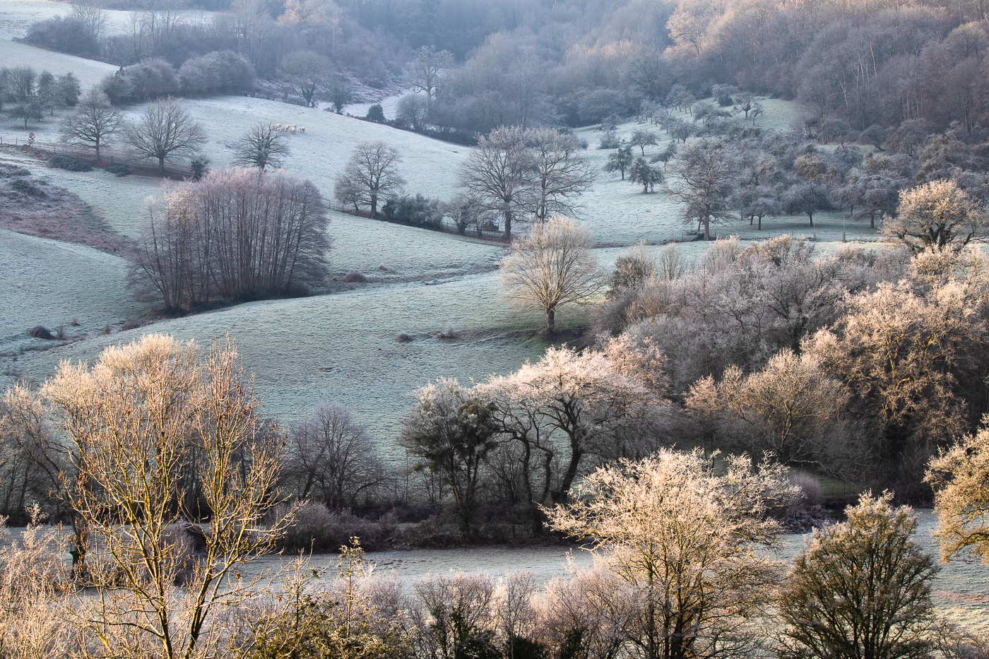 suisse-normande--nicolas-rottiers-photographe-caen