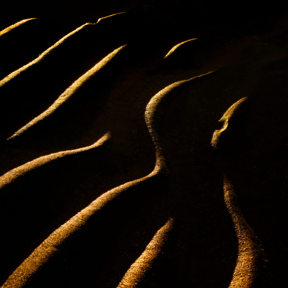 nature-abstrait-sable-veins-nicolas-rottiers-photographe-normandie