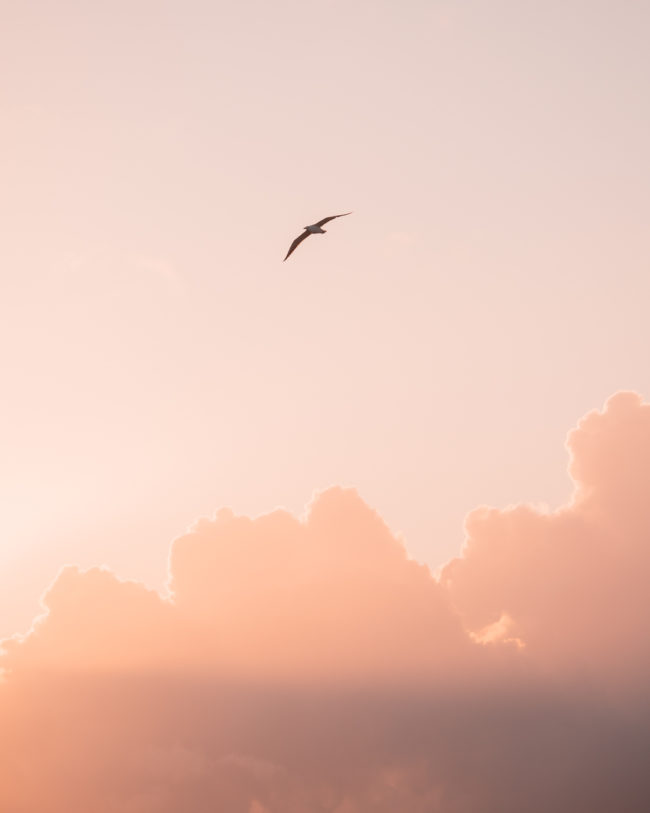 horizons-simples-nicolas-rottiers-photographe-caen-deco-tirages