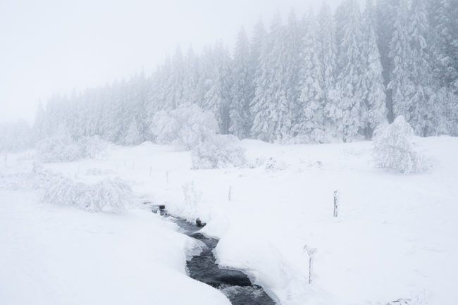 Auvergne Nicolas Rottiers Photographe Paysage Normandie