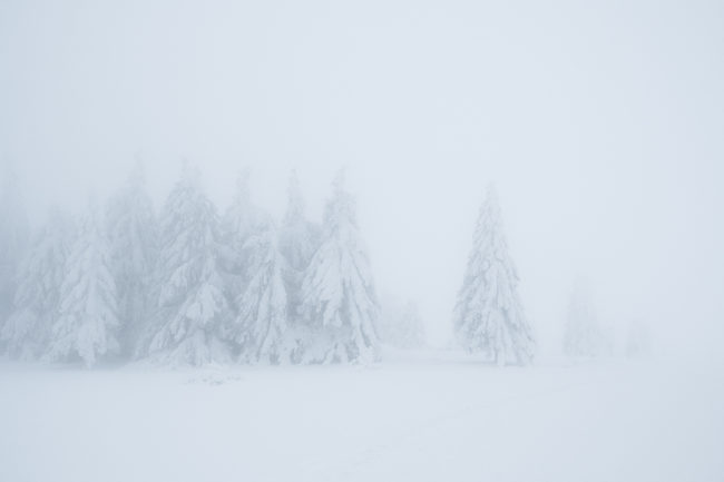 Auvergne Nicolas Rottiers Photographe Paysage Normandie