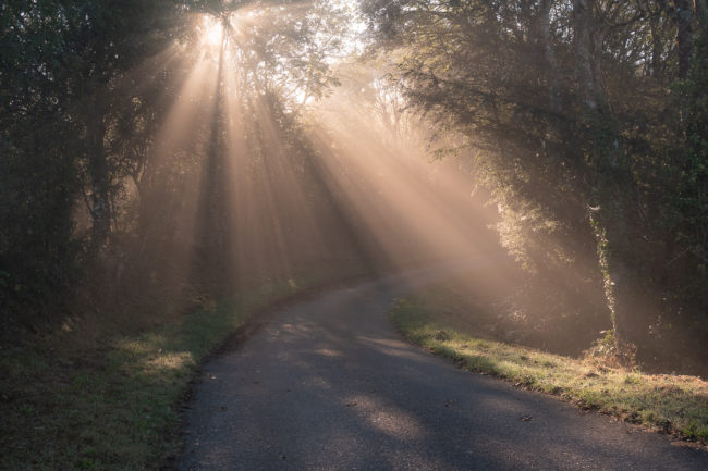 Paysages normands Nicolas Rottiers Photographe Paysage Normandie