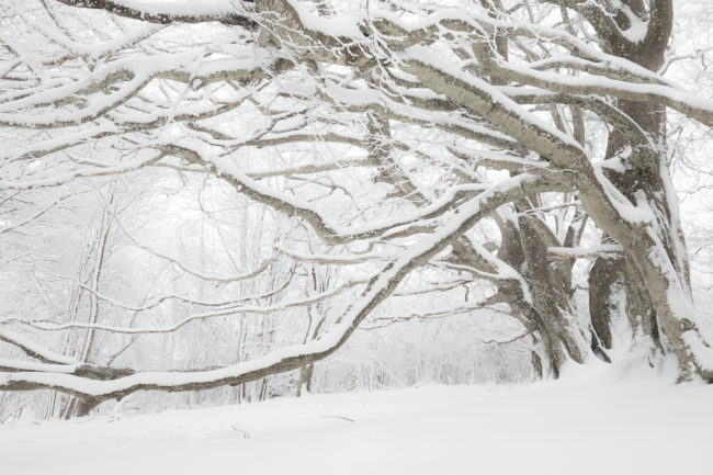 Auvergne Nicolas Rottiers Photographe Paysage Normandie