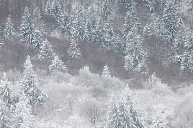 Auvergne Nicolas Rottiers Photographe Paysage Normandie