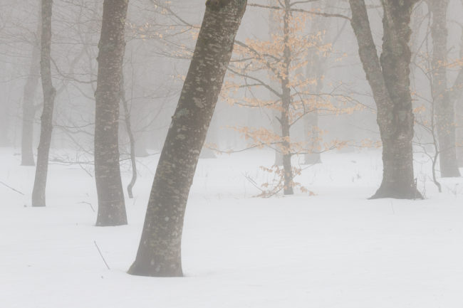 Auvergne Nicolas Rottiers Photographe Paysage Normandie
