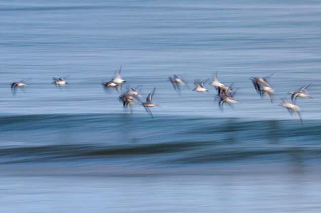 Paysages normands Nicolas Rottiers Photographe Paysage Normandie