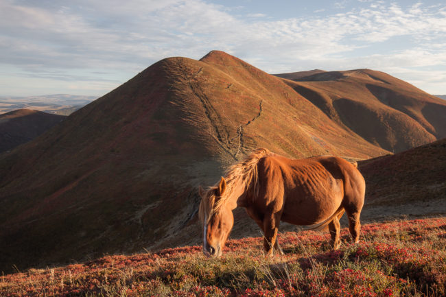 Auvergne Nicolas Rottiers Photographe Paysage Normandie
