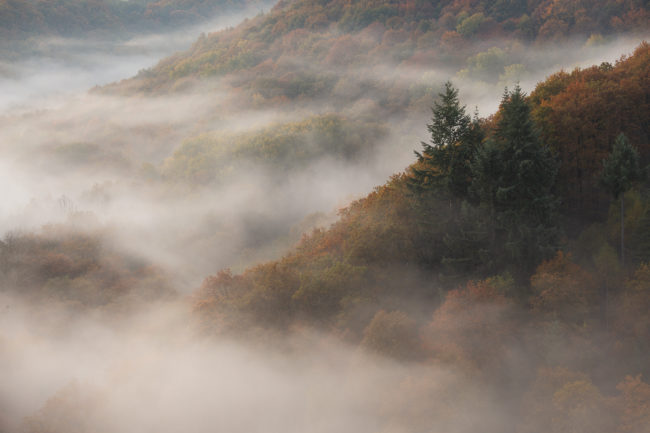 Paysages normands Nicolas Rottiers Photographe Paysage Normandie