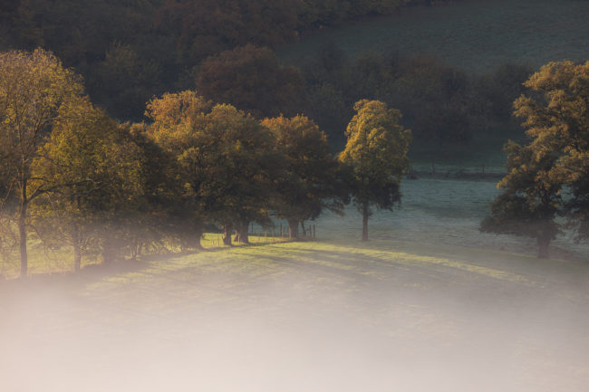 Paysages normands Nicolas Rottiers Photographe Paysage Normandie
