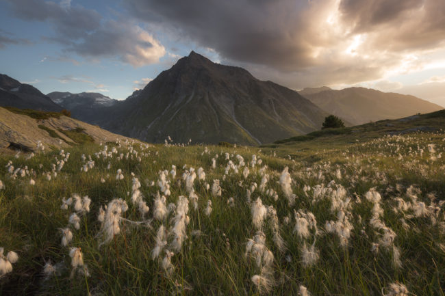 Paysages des Alpes Nicolas Rottiers Photographe Paysage Normandie