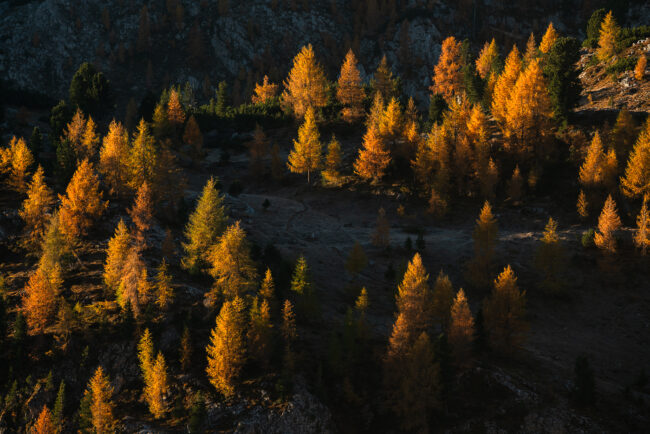 Paysage Italie - Nicolas Rottiers Photographe Normandie