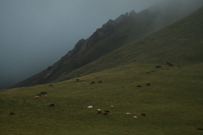 Paysage Auvergne Puy-de-Dôme Sancy - Nicolas Rottiers photographe