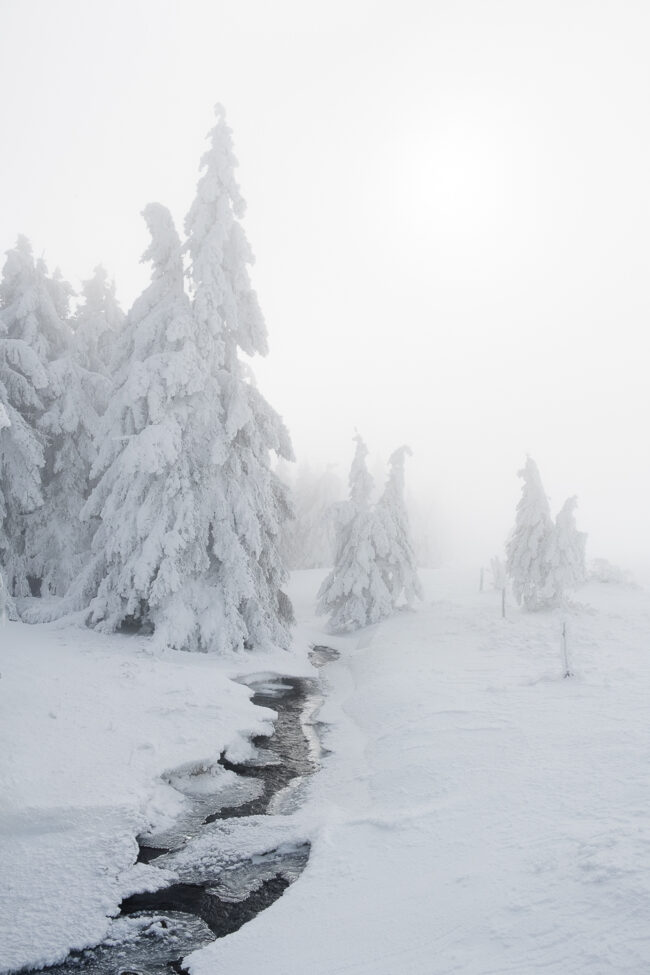 Paysage Auvergne Puy-de-Dôme Sancy - Nicolas Rottiers photographe
