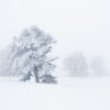 Paysage Auvergne Puy-de-Dôme Sancy - Nicolas Rottiers photographe