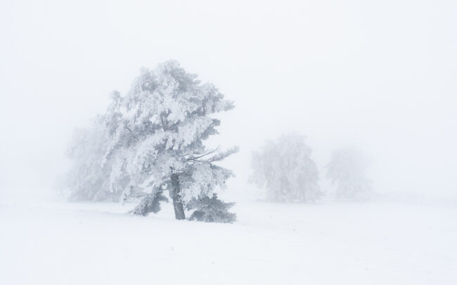 Paysage Auvergne Puy-de-Dôme Sancy - Nicolas Rottiers photographe