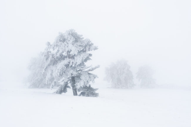Paysage Auvergne Puy-de-Dôme Sancy - Nicolas Rottiers photographe