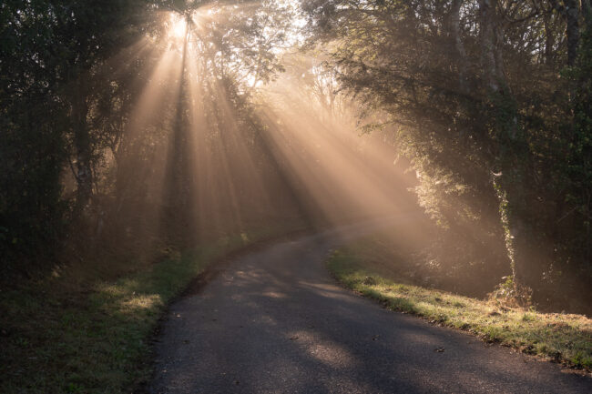 Paysage Normandie - Nicolas Rottiers photographe