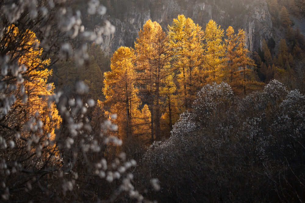 Paysage Alpes - Nicolas Rottiers photographe