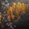 Paysage Alpes - Nicolas Rottiers photographe