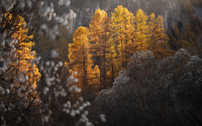 Paysage Alpes - Nicolas Rottiers photographe