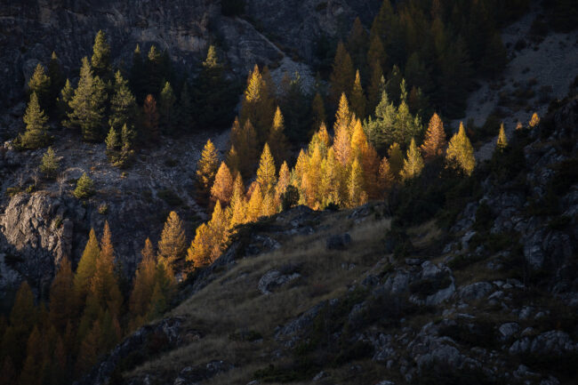 Paysage Alpes - Nicolas Rottiers photographe