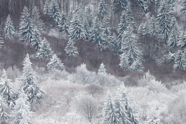 Paysage Auvergne Puy-de-Dôme Sancy - Nicolas Rottiers photographe