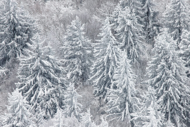 Paysage Auvergne Puy-de-Dôme Sancy - Nicolas Rottiers photographe