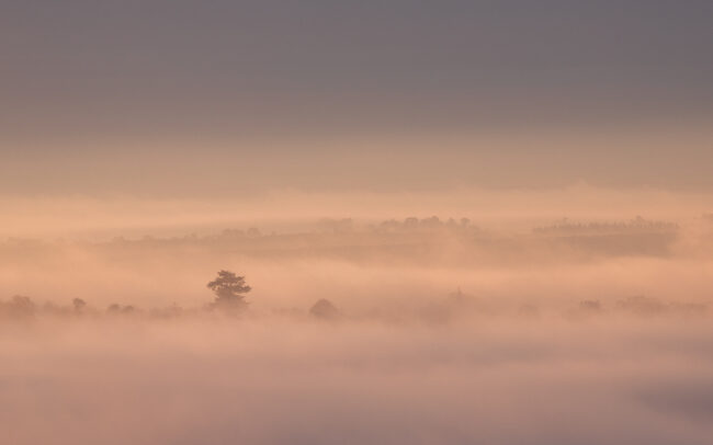 Paysage Normandie - Nicolas Rottiers photographe