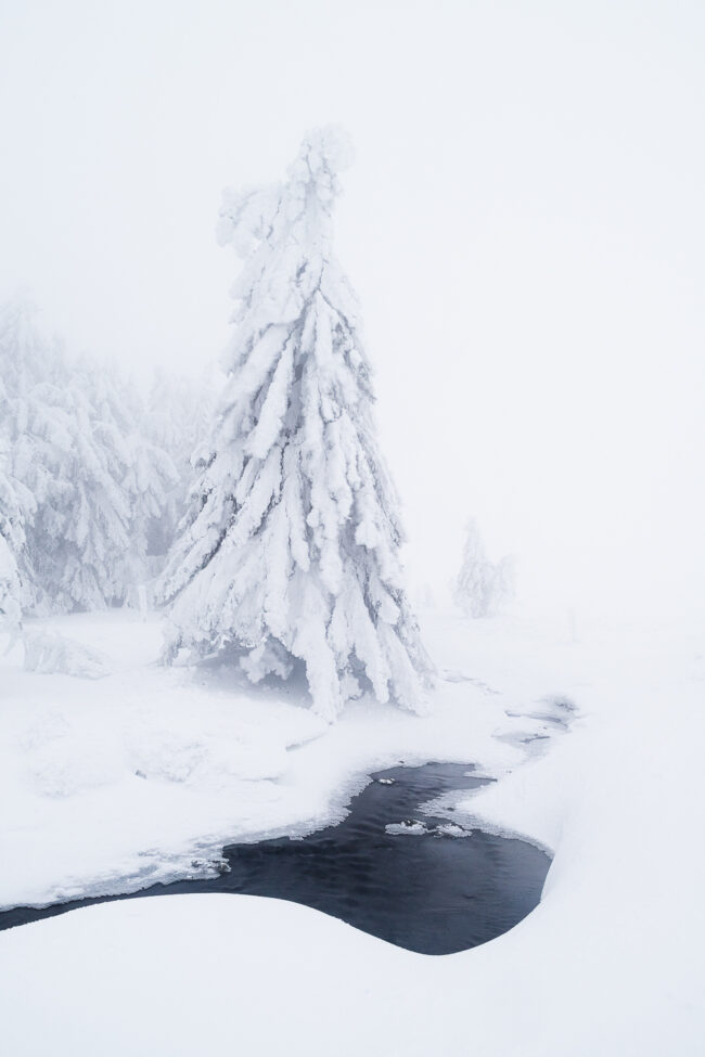 Paysage Auvergne Puy-de-Dôme Sancy - Nicolas Rottiers photographe